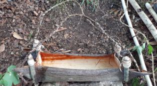 163d642c-9e7d-4b48-b7b9-e5e3d687e305